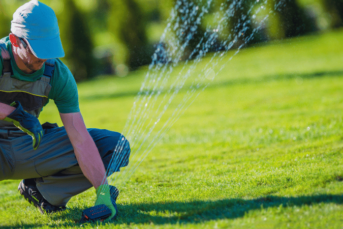 Lawn Care & Landscaping