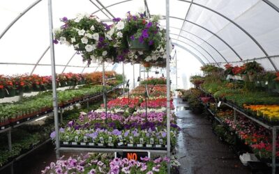Redbud Farms & Nurseries