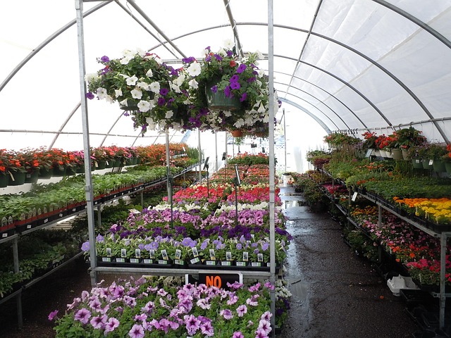 flowers-164814_640