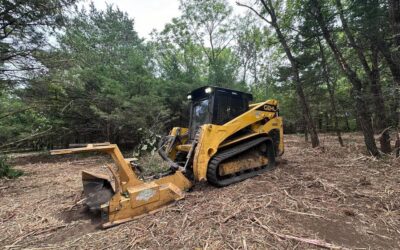 Paddock Land Services